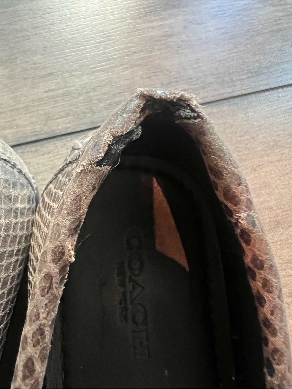 Coach New York Snakeskin Leather Loafers Brown Olive with Embossed Logo - Picture 4 of 8